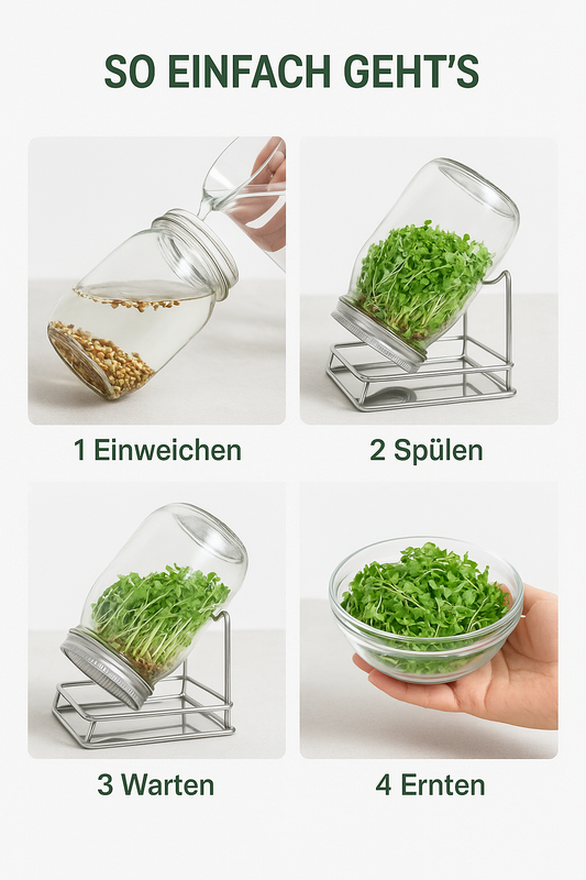 Sprossenglas Starter-Set aus Edelstahl – 2x 1 L Gläser + Brokkoli-Radieschen Saatmischung (100 g)