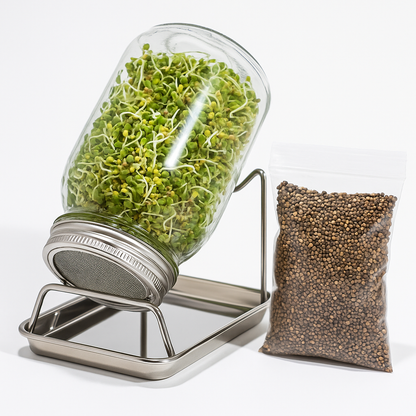 Sprossenglas Starter-Set aus Edelstahl – 2x 1 L Gläser + Brokkoli-Radieschen Saatmischung (100 g)
